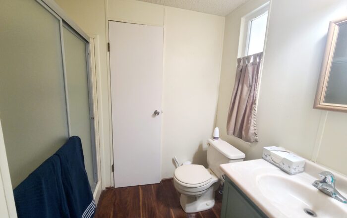 Guest Bathroom with full size Walk-in Shower
