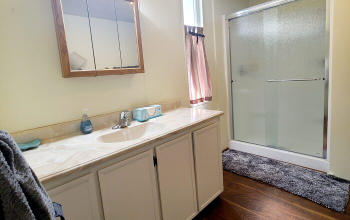 Master Bathroom with Full Size Walk-in Shower